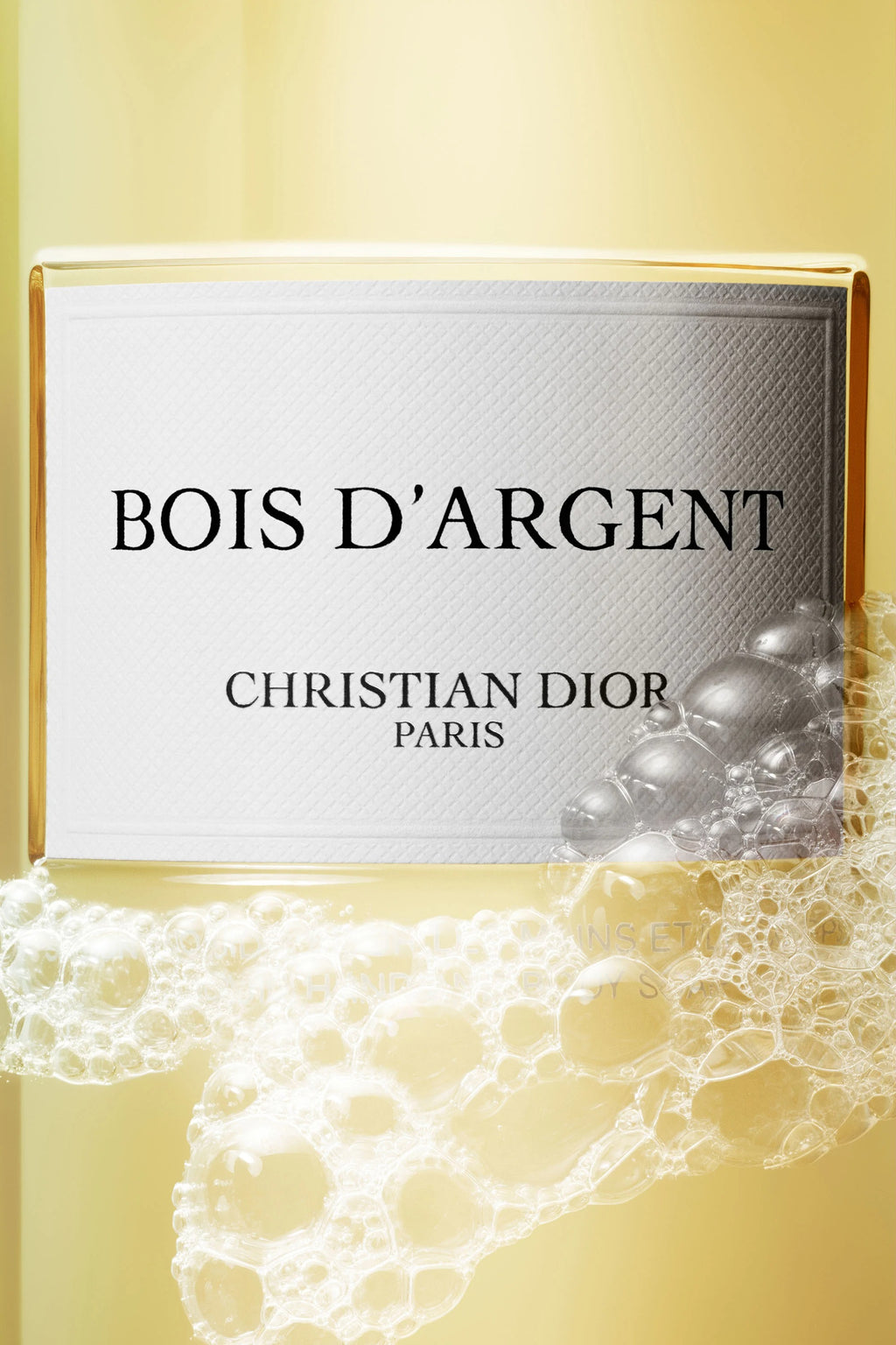 Savon Parfumé Dior Bois d'Argent