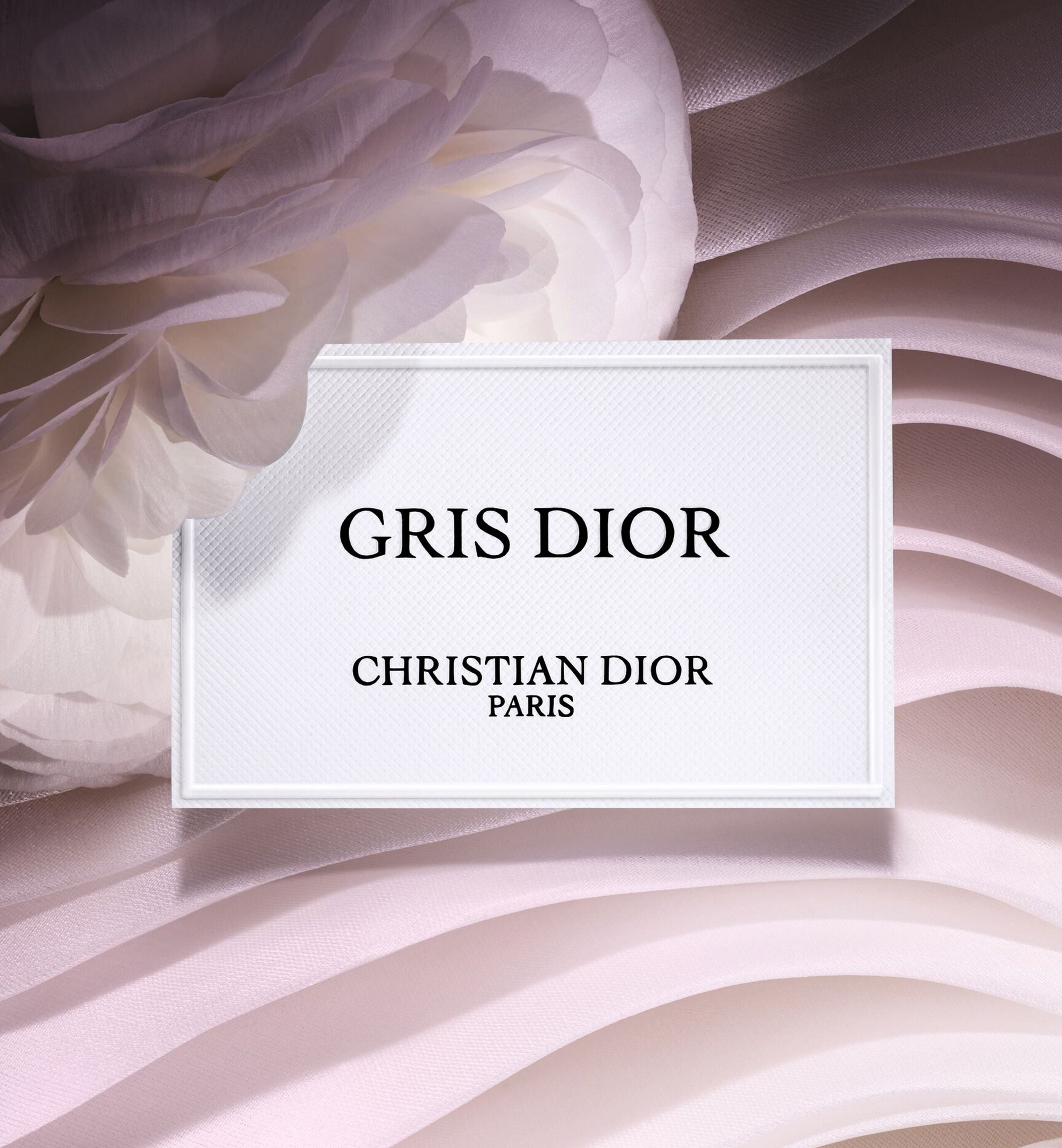 Dior Gris Dior