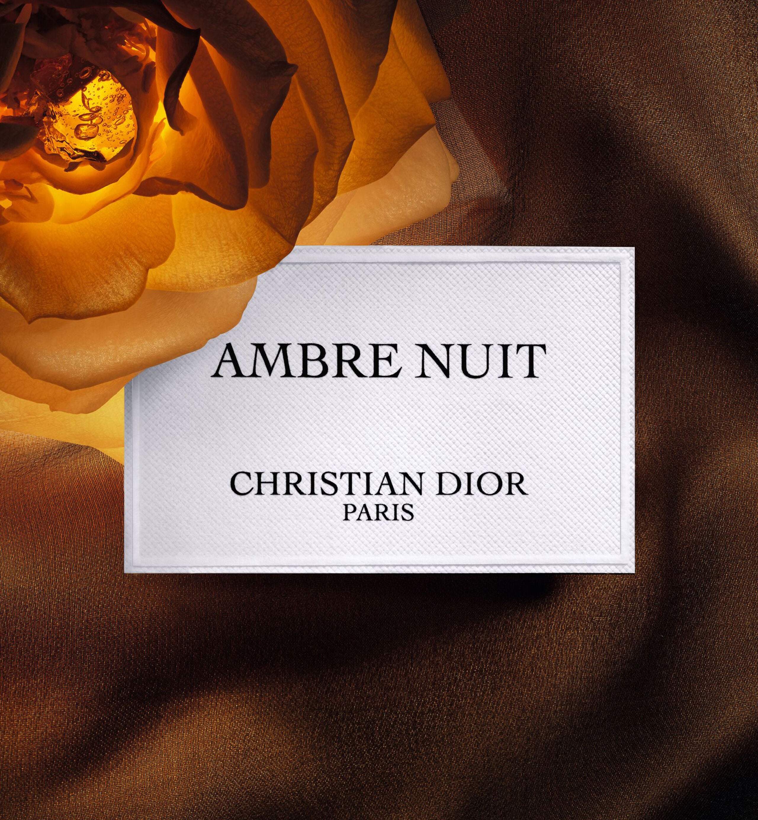 Dior Ambre Nuit
