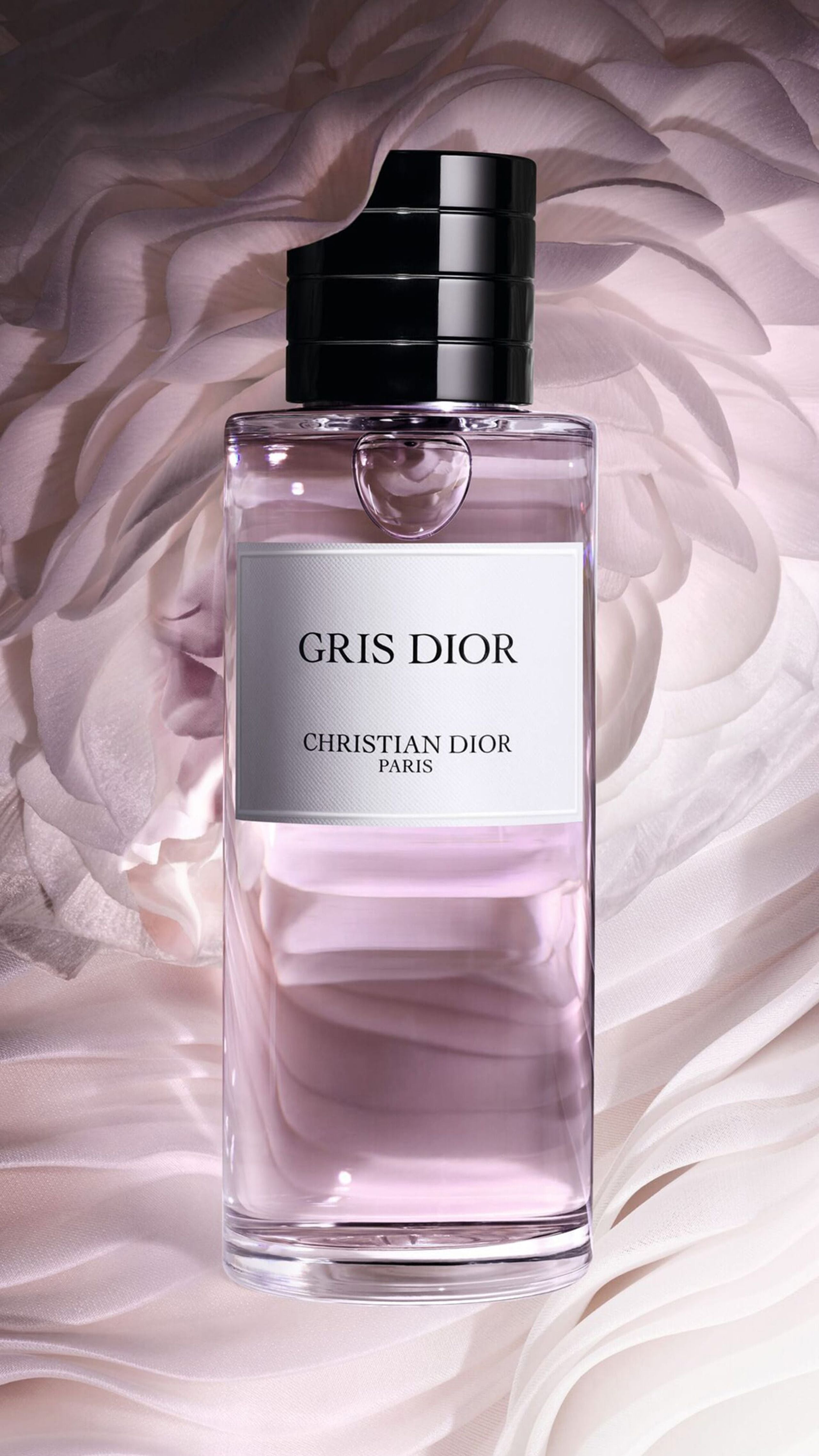 Dior Gris Dior